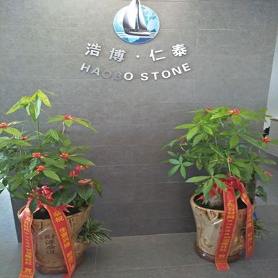 gefeliciteerd haobo stone op het verhuizen naar het nieuwe kantoor